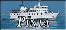 Pinta button